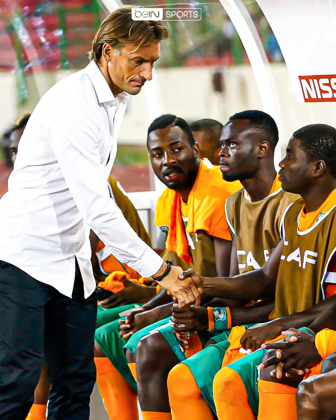 Côte d’Ivoire : Hervé Renard signe son grand retour à la tête des Éléphants