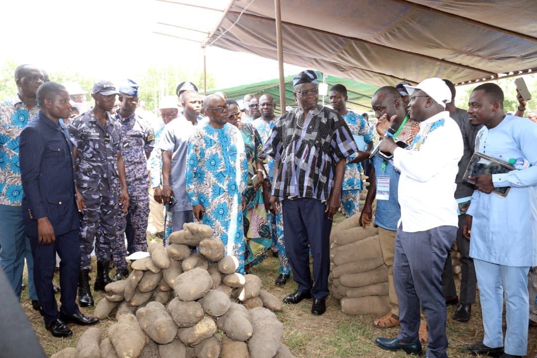 Togo : Sotouboua en fête autour des tubercules d'igname